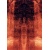 sm-6
